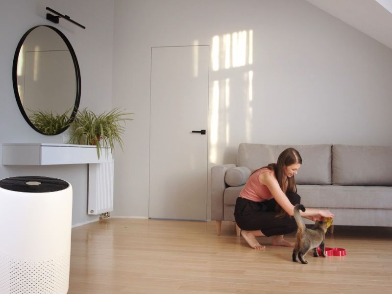 prikaz dnevnog boravka u kom vlasnica hrani mačku i hepa filter