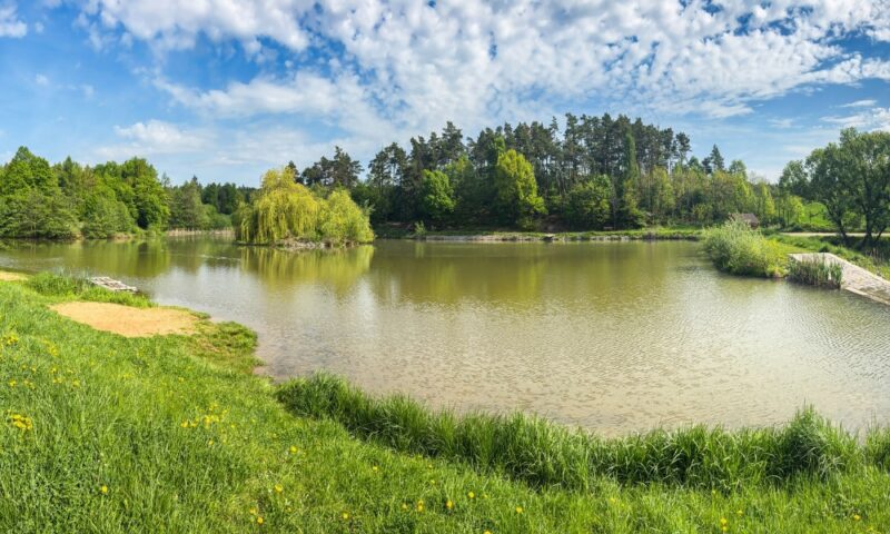 Kako urediti teren oko ribnjaka