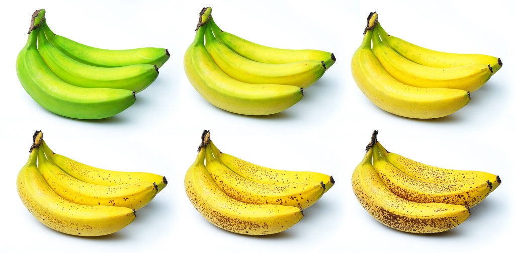 Banane kroz različite periode zrenja, od potpuno zelene do zrele